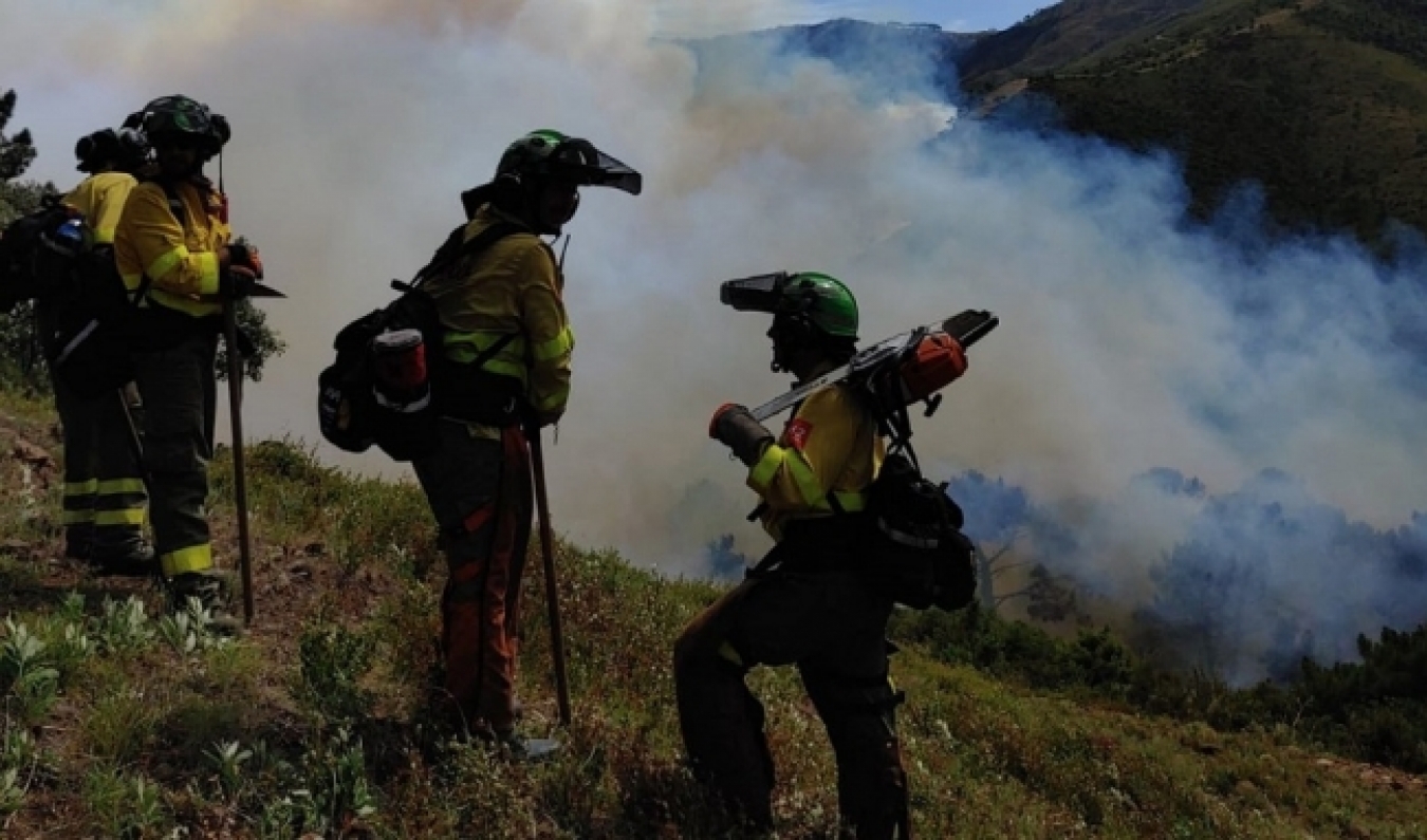 Mantienen la alerta por altas temperaturas y riesgo de incendios forestales en amplias zonas del país