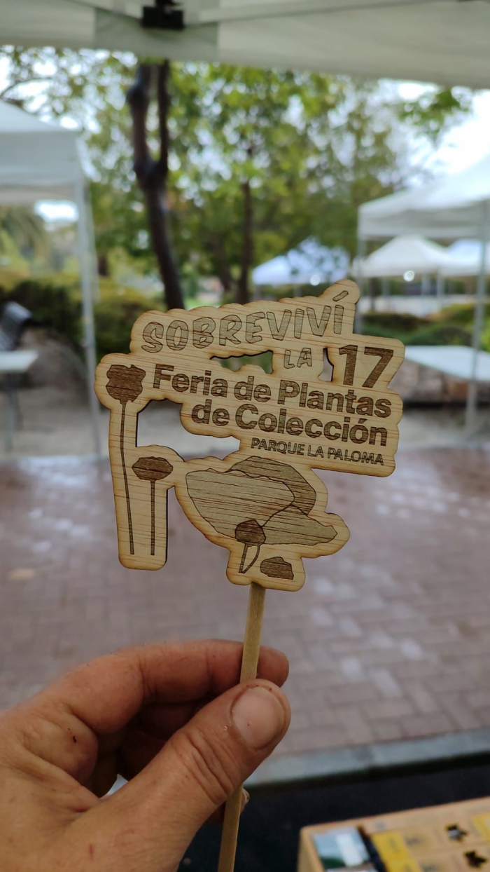 Benalmádena alberga la XVII Feria de Plantas de Colección en el emblemático Parque de La Paloma