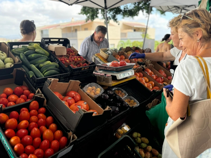 El tomate huevo de toro, un producto único que genera valor al sector agroalimentario de toda la provincia