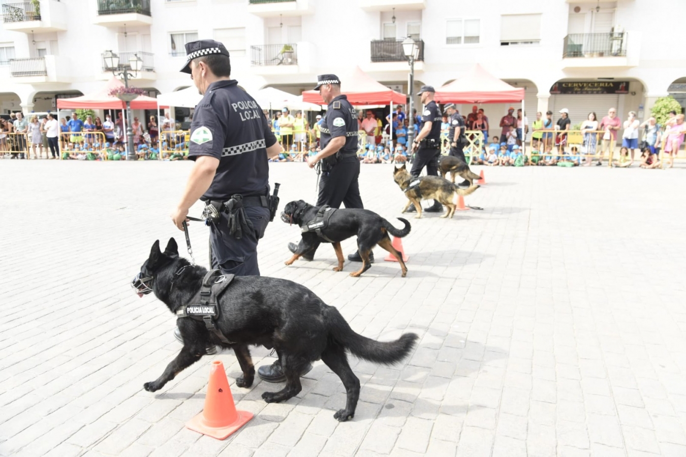 La Unidad Canina de la Policía Local cumple su 25 aniversario con una exhibición con motivo del `Día Mundial del Perro´