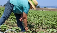 Aprobado el Proyecto de Ley del Estatuto de las Mujeres Rurales y del Mar, que potencia su papel