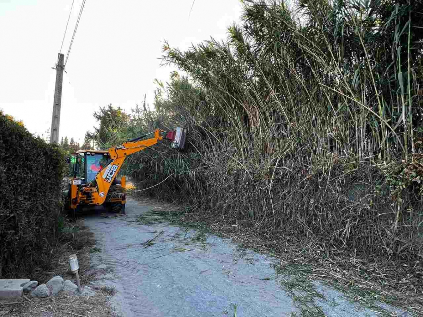 Estepona desbroza los cauces de una veintena de arroyos y ríos que discurren por zona urbana para prevenir inundaciones