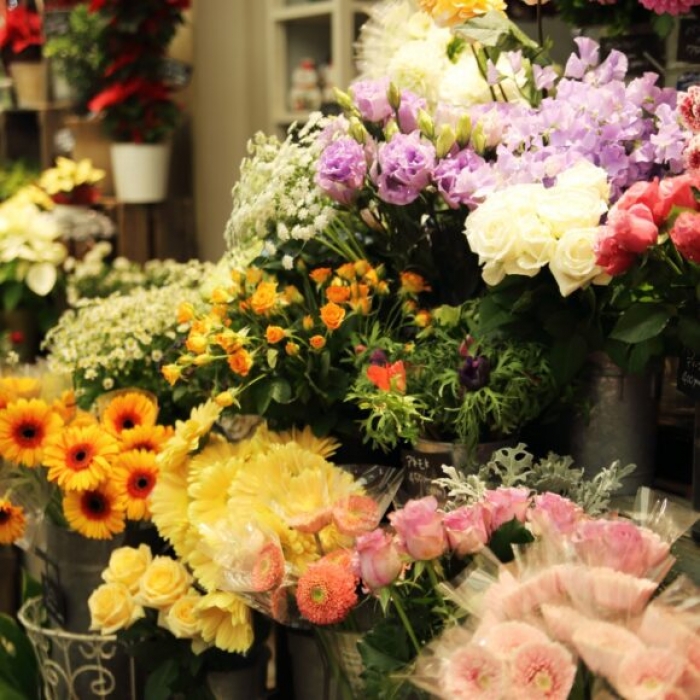 Torremolinos instala un Mercado de Flores con motivo del Día de San Valentín