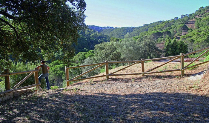 El Consejo de Gobierno declara los Montes de Málaga como Zona Especial de Conservación