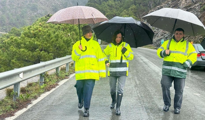 La Junta estabilizará la ladera y construirá un nuevo puente para abrir al tráfico la carretera A-397