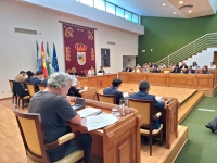 Torremolinos aprueba inicialmente la Ordenanza Municipal Reguladora de la Zona de Bajas Emisiones